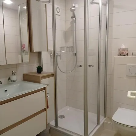Appartement Tulipa Vera Mit Traumhafter Aussicht Todtmoos